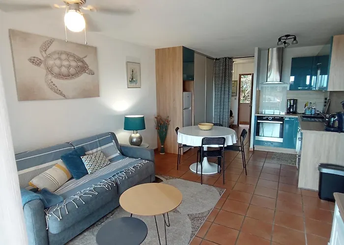 3amb31 - Pour 3 Personnes Avec Magnifique Vue Sur La Baie Appartamento Collioure